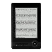 Ремонт электронной книги Ritmix RBK-500