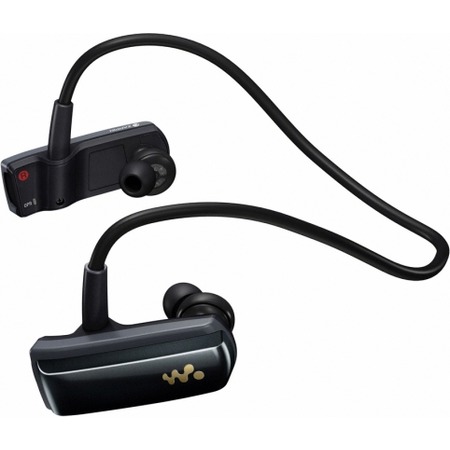 Ремонт мp3-плеера Sony NWZ-W252 2 GB
