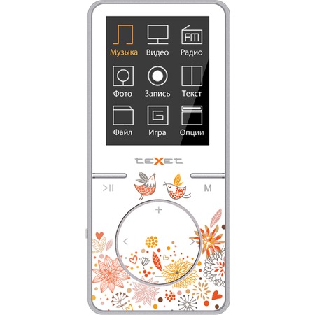 Ремонт мp3-плеера teXet T-48 8 GB