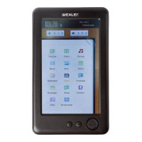 Ремонт электронной книги Wexler Book T5001