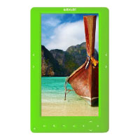 Ремонт электронной книги Wexler Book T7002