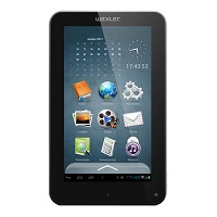 Ремонт электронной книги Wexler Book T7008