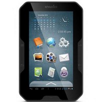 Ремонт электронной книги Wexler Book T7205